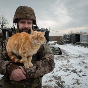 Photo N°8 - Godzilla Junior