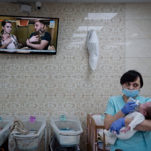 Photo N°9 - Bébés & chats