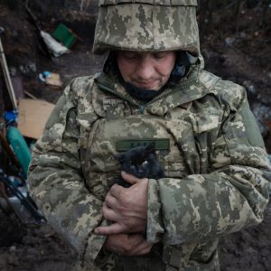 Photo N°15 - Le chaton de Kletch