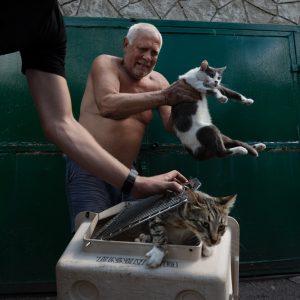 Photo N°17 - Les 7 chats