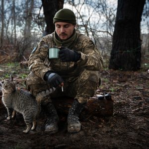 Photo N°14 - Le chat de la 63e brigade